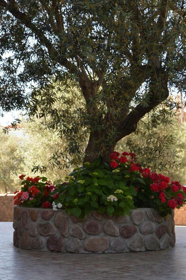 Aparthotel Anaxos Gardens Exterior foto